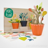 Everlasting Portable Plant