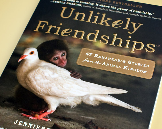 Unlikely Friends Book