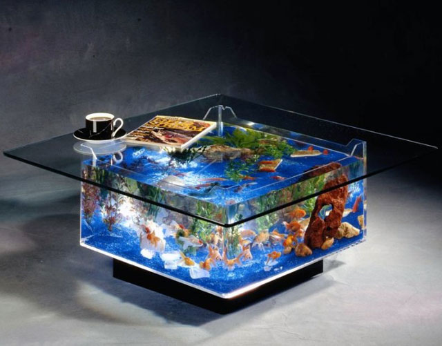 Coffee Table Aquarium