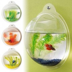 fishbubble
