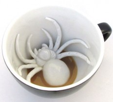 creaturecupspider