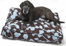 mollymuttdogduvet2