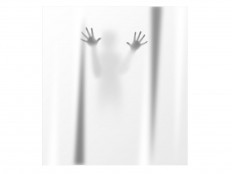 wantedscaryshowercurtain