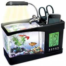 desktopaquarium