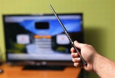 magic wand remote