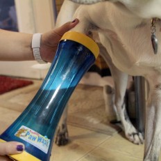 paw wash