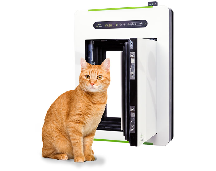 PetWALK Automatic Cat Door Oh My That's Awesome
