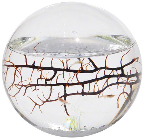ecosphere