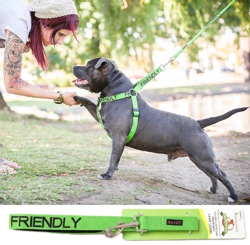 color coded dog leash