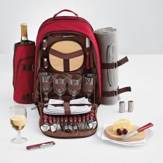 picnic backpack