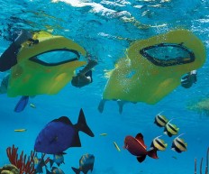 snorkeling kickboard