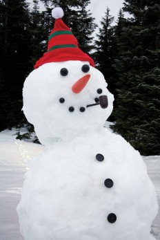 dress a snowman kit