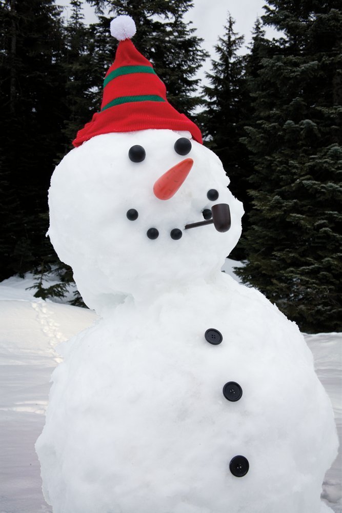 dress a snowman kit