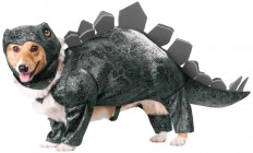 stegosaurus dog costume